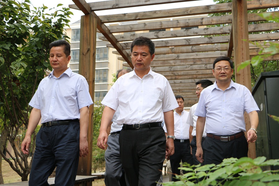 丹桂飄香慶國(guó)慶，市委領(lǐng)導(dǎo)忙調(diào)研